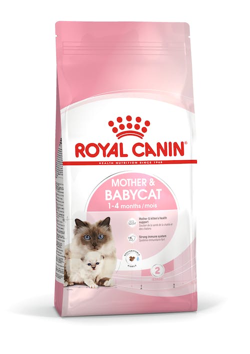RC Fel.Babycat 2kg