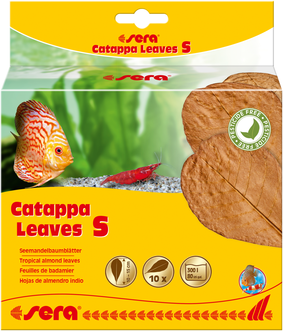 Cattapa lišće