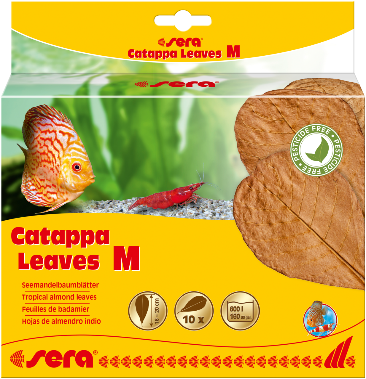 Cattapa lišće