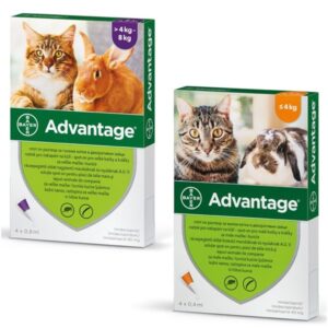 Advantage 40 Cat 0.4ml 1/4 pip.