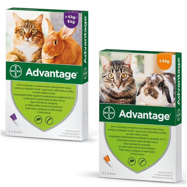 Advantage 80 Cat 0.8ml 1/4 pip.