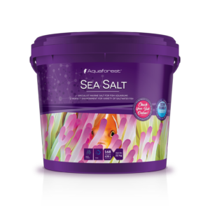 Sea sol