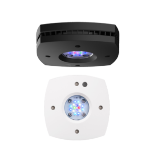 Rasvjeta Hydra 16 HD black