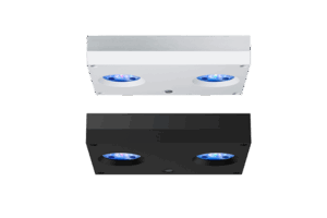 Rasvjeta Hydra 32 HD LED black