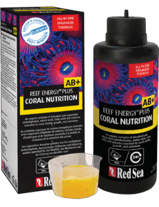 Reef energy AB