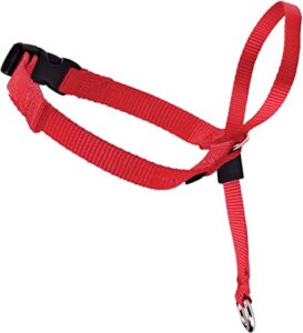 Vodilica+halti Easy Walk SM Crvena