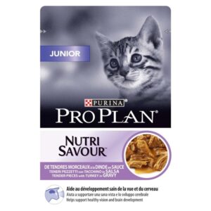 ASP PP MM Junior 85g Pura 1/26