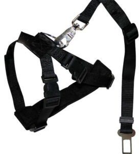 C5001292 Nastavak za auto pojas+ham 70-90cm LG