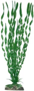 PLASTIČNO BILJE S 12cm VALISINERIA