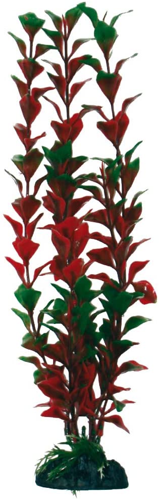 PLASTIČNO BILJE S 12cm LUDWIGIA