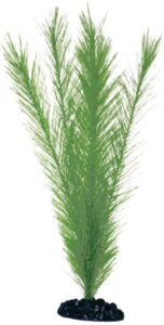 PLASTIČNO BILJE S 12cm BLYXA