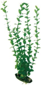 PLASTIČNO BILJE L 27cm ROTALA