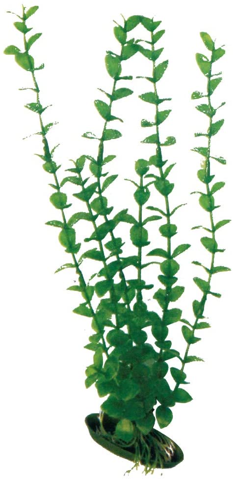 PLASTIČNO BILJE L 27cm ROTALA