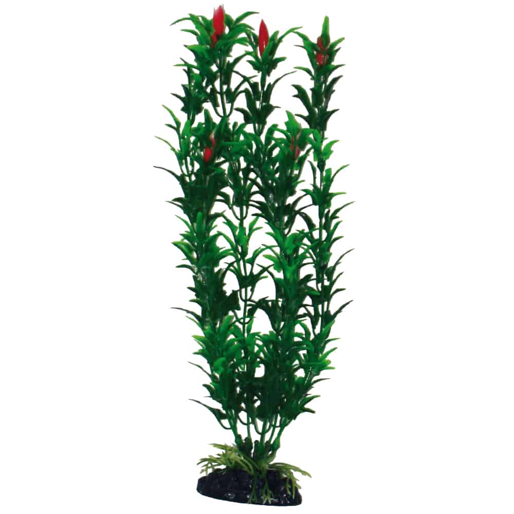PLASTIČNO BILJE L 27cm Egeria Flower bicolor