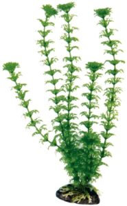 PLASTIČNO BILJE S 12cm CABOMBA