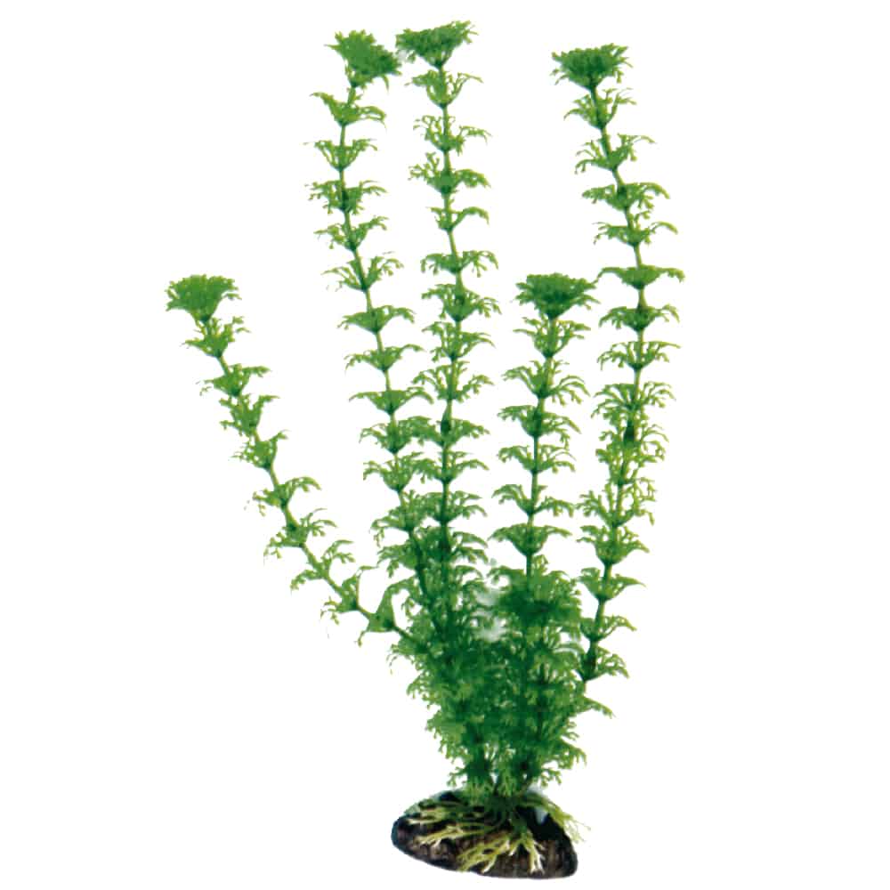 PLASTIČNO BILJE M 18cm CABOMBA
