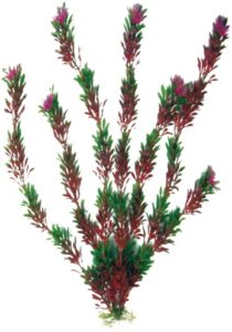 PLASTIČNO BILJE S 12cm Flora bicolor