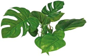 PLASTIČNO BILJE S 15cm ANUBIAS svileno