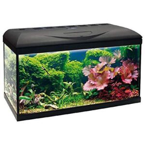 A2001842 W Akvarij Basic 60 60x32x42cm 65lit