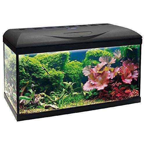 A2001842 W Akvarij Basic 60 60x32x42cm 65lit