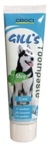 Gills Dental Pasta za zube 100g mint