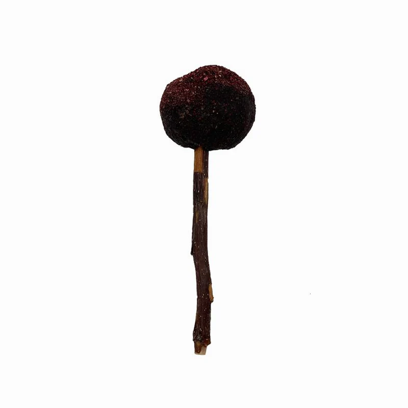 R1075263 Poslastica za glodavce Loly borovnica 25g