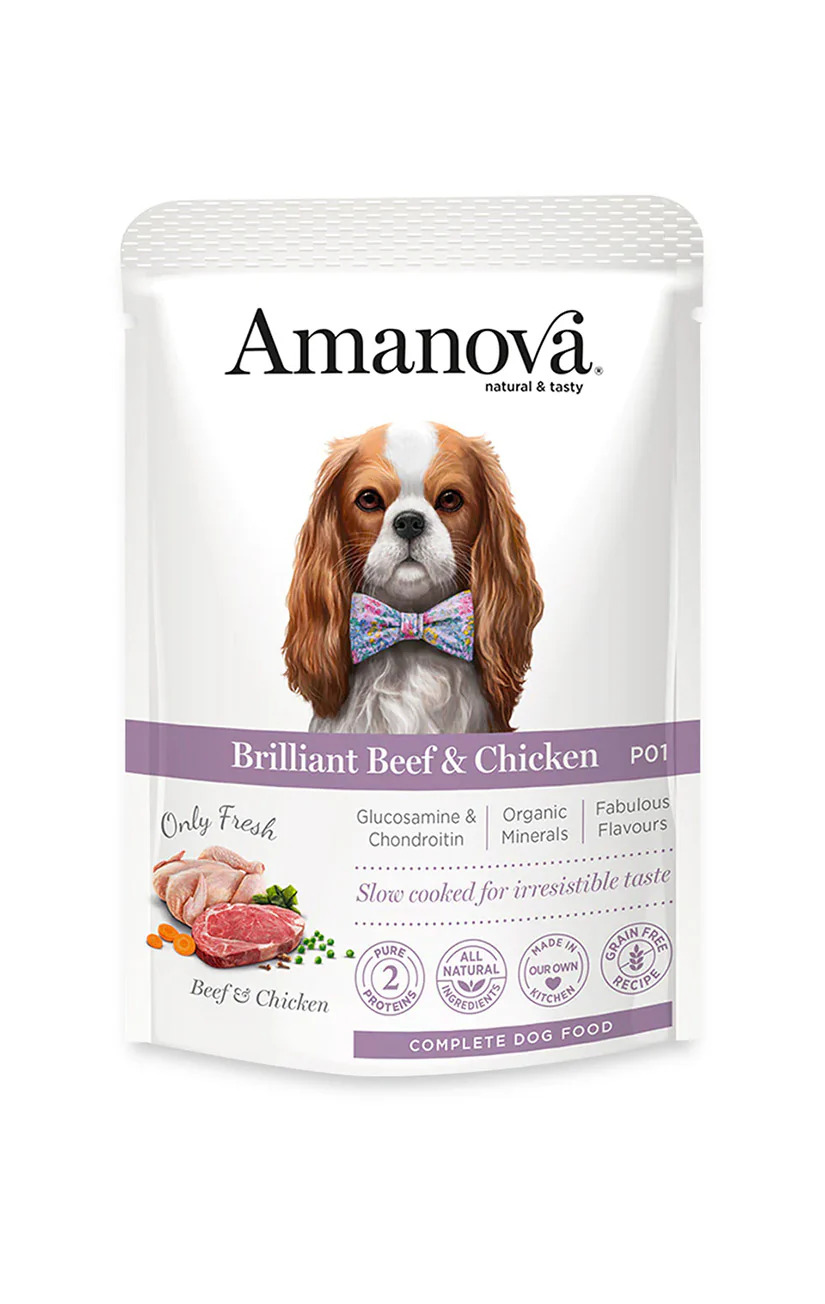 AMT53BC3A Amanova dog 300g Brilliant govedina/pile 1/12