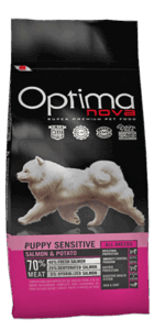 puppy medium Losos/krumpir