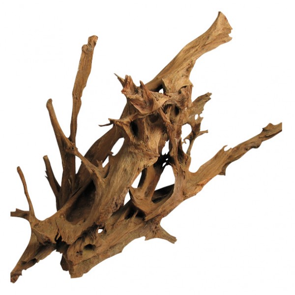 18521 Drvo Mangrovia 60-90cm Tatrapet