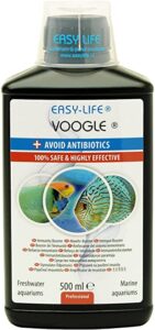 Voogle