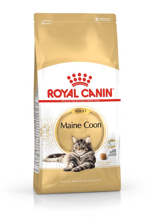 Royal Canine Feline Maine Coon