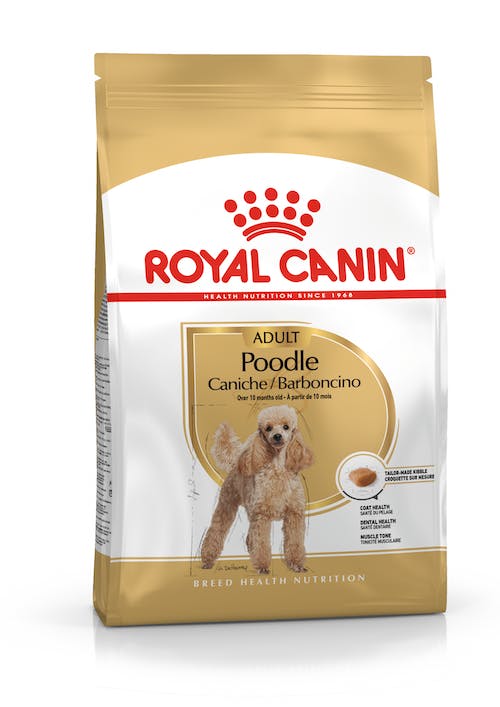 Poodle