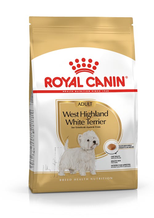 Westie