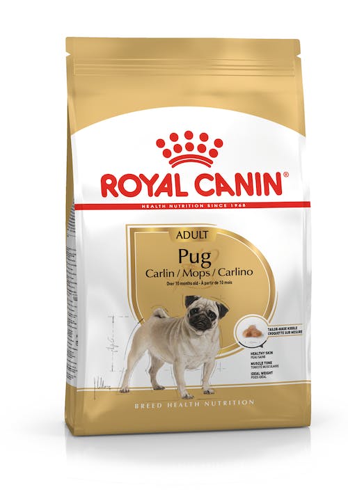 RC Mops-Pug 3kg