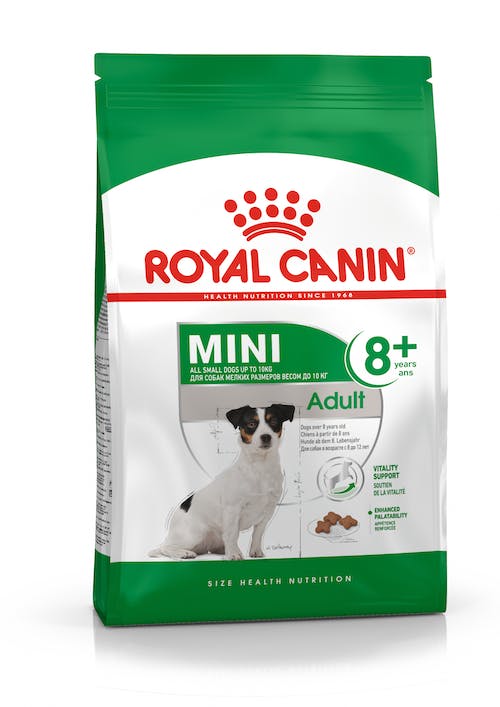 adult Mini Mature +8