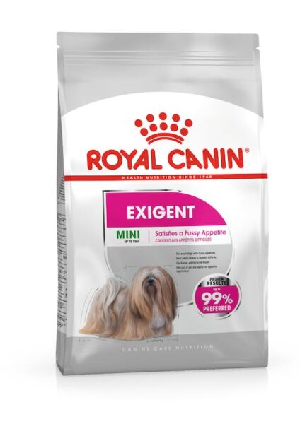 adult Mini Exigent