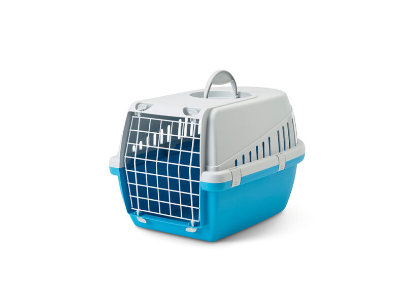 Transporter trotter 1