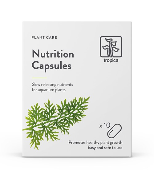 Tropica Nutrition kapsule 10kom - gnojivo za bilje