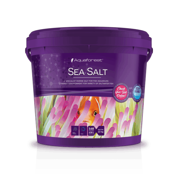 Sea sol