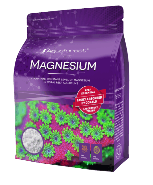 Magnezij