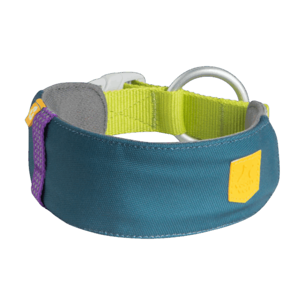 Ogrlica Woolly wolf Alpha 360 L 45-55/5,5/2,5cm petrol