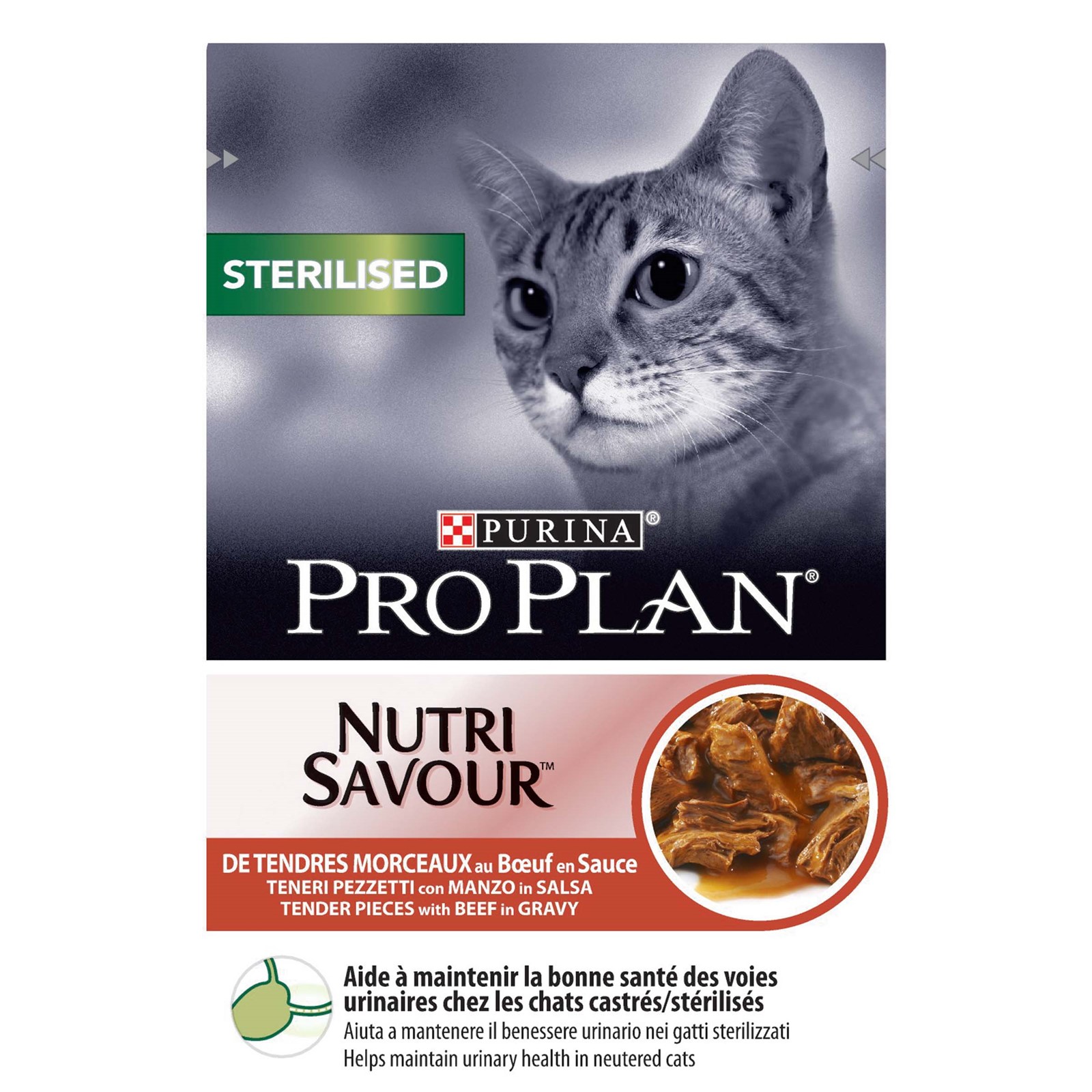 ALC129606 PP MM Sterilised 85g govedina 1/26