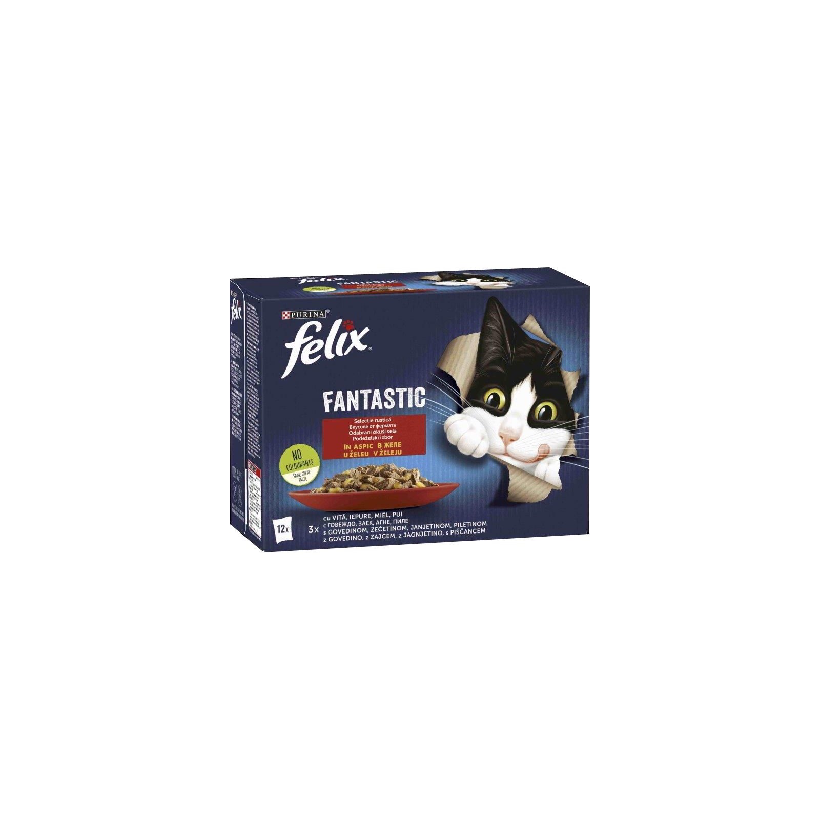Felix Fantastic 12x85g