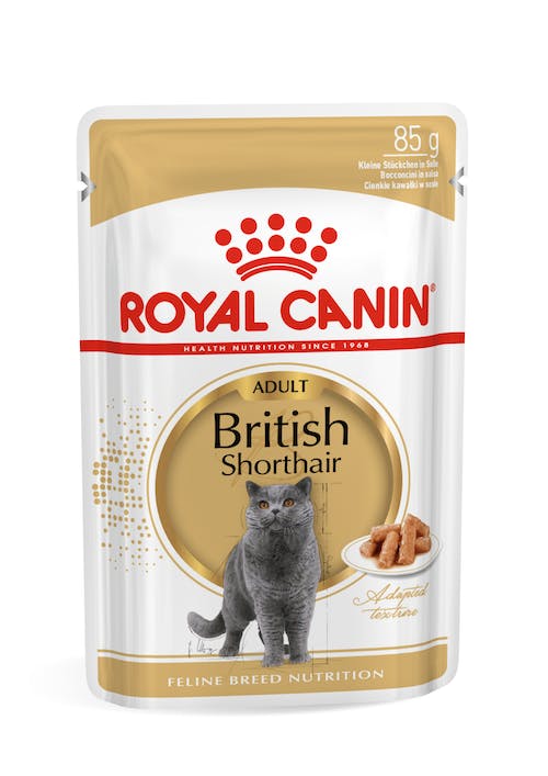 120320102 RC Fel.Vreć.85g British shorthair 1/12
