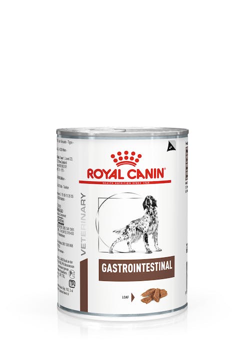 Veterinary Diet Gastrointestinal