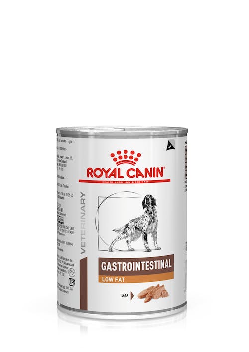 Veterinary Diet Gastrointestinal Low Fat