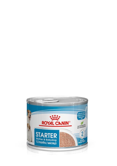 140770020 RC Starter mouse konz.195g 1/12