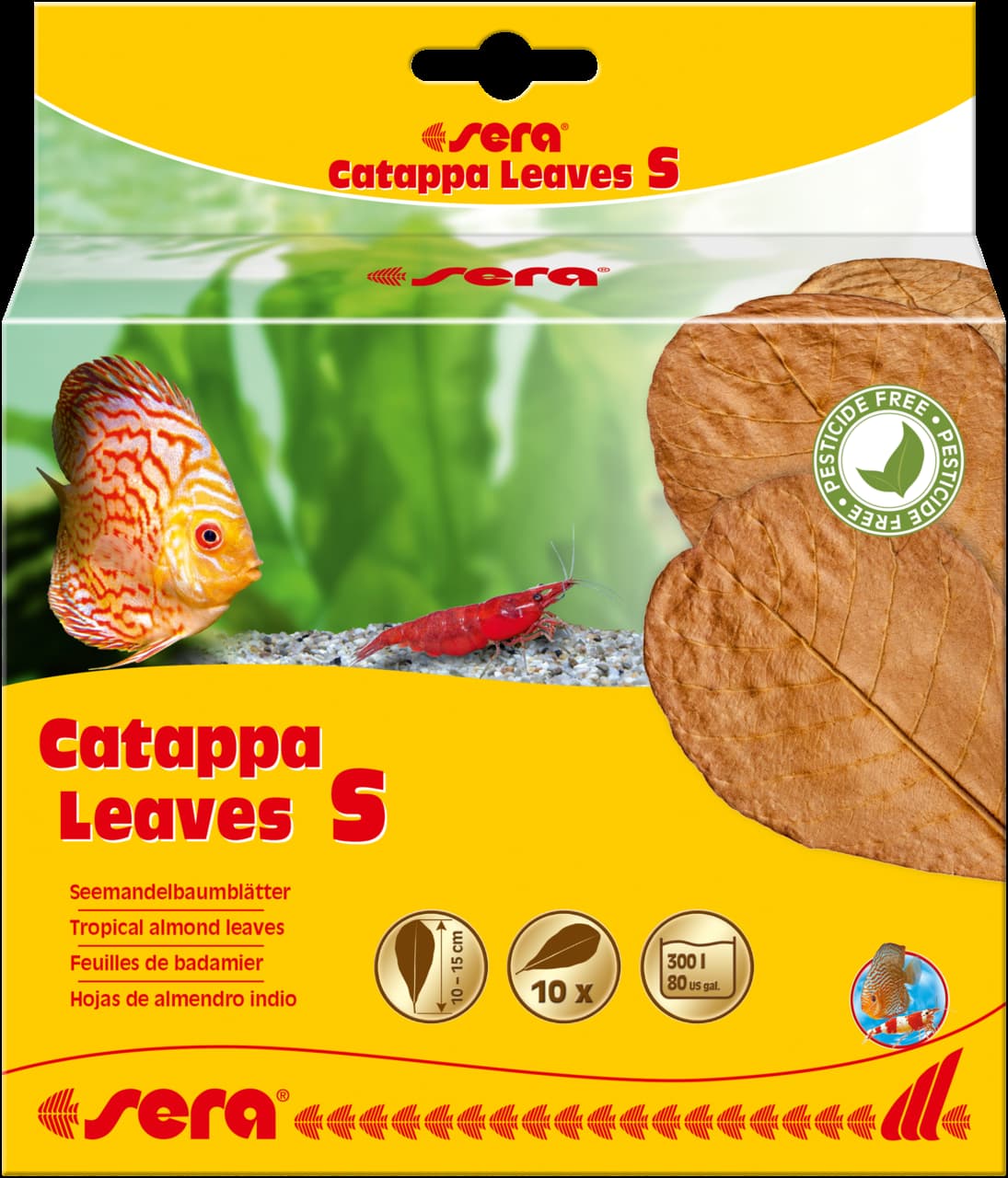 45243 (32273) Sera Catappa lišće S 10-15cm 10kom