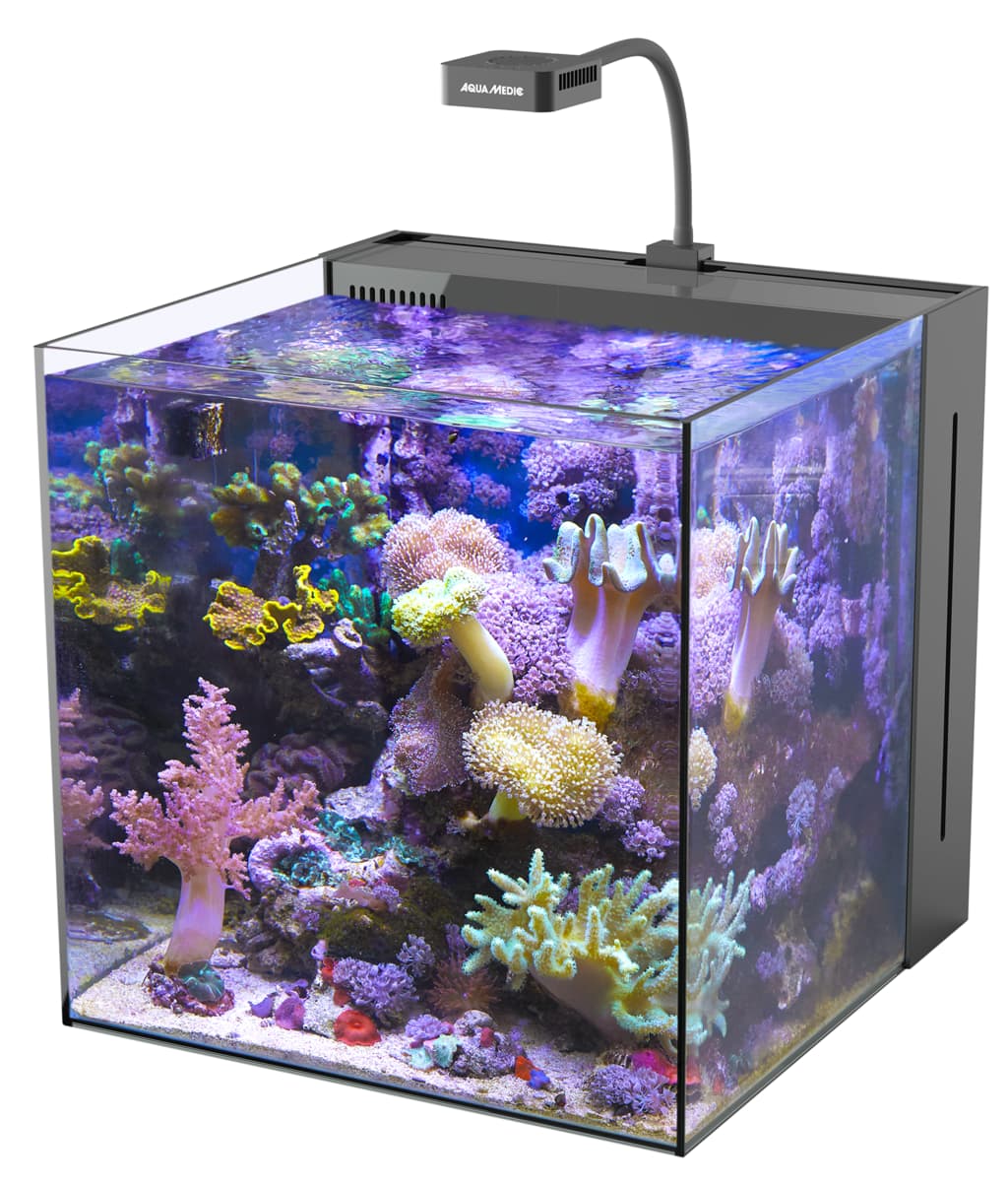AM560.060 Aqua Medic Yasha 60 40x40x40cm