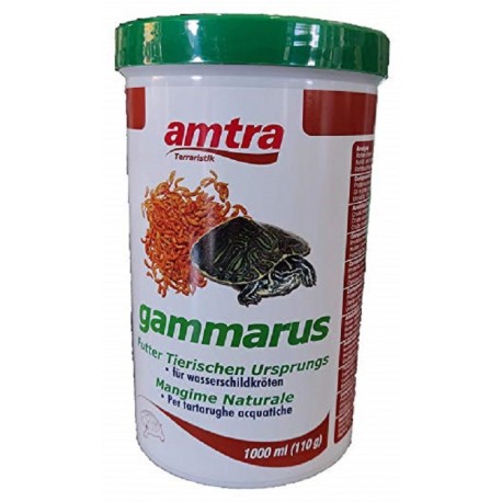 Gammarus